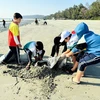 Học sinh trên đảo Cô Tô thu gom rác thải, dọn sạch bãi biển. (Ảnh: TTXVN phát)