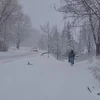 Tuyết muộn tại Phần Lan. (Nguồn: YLE)