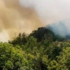 Đám cháy ở đỉnh cao 2.000m nằm trên địa giới hành chính của xã Lao Chải (huyện Vị Xuyên) trong rừng đặc dụng Tây Côn Lĩnh. (Nguồn: Báo Hà Giang)