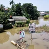 Ngập lụt sau mưa lớn tại Depok, Indonesia. (Ảnh: AFP/TTXVN)