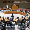 Toàn cảnh phiên bỏ phiếu của Hội đồng Bảo an Liên hợp quốc thông qua Nghị quyết về bảo vệ nhân viên cứu trợ, tại New York (Mỹ). (Ảnh: THX/TTXVN)