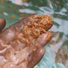 Nước sinh hoạt bị ô nhiễm, bám mảng vàng khi người dân lấy ở khe suối về. (Ảnh: Nguyễn Oanh/TTXVN)