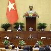 Phó Chủ tịch Quốc hội Nguyễn Đức Hải điều hành phiên họp. (Ảnh: Doãn Tấn/TTXVN)