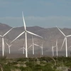 Các tuốcbin sản sinh điện gió hoạt động tại California, Mỹ. (Ảnh: Reuters/TTXVN)