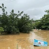 Mưa lớn kéo dài suốt đêm 9 và ngày 10/6 đã khiến nước sông Lô ở thành phố Hà Giang dâng cao, gây ngập lụt các hộ sống ven sông. (Ảnh: Minh Tâm/TTXVN)