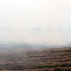 Người dân đốt rơm rạ ngay tại ruộng, gây khói mịt mù. (Ảnh: Vũ Quang/TTXVN)
