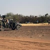 Binh sỹ thuộc Lực lượng đặc biệt chống thánh chiến "Almahaou" tuần tra. (Nguồn: AFP)