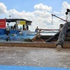 Phương tiện khai thác cát tại mỏ 05 trên sông Hậu địa bàn tỉnh Sóc Trăng bắt đầu vận hành ngay sau lễ khởi công. (Ảnh: Trung Hiếu/TTXVN)