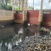Nước xả thải của Công ty TNHH Kbec Vina xả ra suối Giao Kèo, thị xã Phú Mỹ vào ngày 30/5. (Ảnh: Hoàng Nhị/TTXVN)