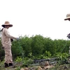 Nhân viên Tổ chức MAG dùng phương tiện, máy móc rà phá, xử lý bom mìn sau chiến tranh tại các địa phương trong tỉnh Quảng Bình. (Ảnh: TTXVN phát)