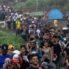 Người di cư băng qua khu rừng gần làng Bajo Chiquito, trạm kiểm soát biên giới đầu tiên của tỉnh Darien, Panama. (Ảnh: Getty Images/TTXVN)