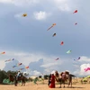Hàng trăm con diều với đủ màu sắc và hình dạng được thả trên đồi cát Bàu Trắng, Bình Thuận. (Ảnh: Nguyễn Thanh/TTXVN)