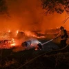 Lính cứu hỏa nỗ lực dập lửa cháy rừng tại Chico, California. (Ảnh: Getty Images/TTXVN)