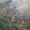 Khói bốc lên từ đám cháy rừng tại Labrea, bang Amazonas, Brazil. (Ảnh: Getty Images/TTXVN)