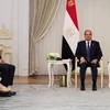 Ngoại trưởng Mỹ Antony Blinken (trái) hội kiến Tổng thống Ai Cập Abdel Fattah el-Sisi tại El-Alamein, Ai Cập. (Ảnh: Getty Images/TTXVN)