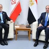 Tổng thống Ai Cập Abdel-Fattah El-Sisi và người đồng cấp Iran Massoud Pezeshkian gặp nhau bên lề Hội nghị Cấp cao BRICS. (Nguồn: Văn phòng Tổng thống Ai Cập)