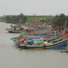 Bình Định: Còn ba tàu cá đang di chuyển tránh bão