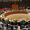 Một cuộc họp của Hội đồng Bảo an Liên hợp quốc. (Nguồn: AFP)