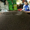 Giá hạt tiêu tại tỉnh Đồng Nai tăng 30.000 đồng mỗi kg
