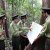 Đầu tư 250 tỷ đồng để bảo vệ phát triển rừng ở Đồng Nai