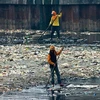 Những người đàn ông này đang vớt rác ở sông Ciliwung, tỉnh Tây Java của Indonesia. (Nguồn: Dailymail)