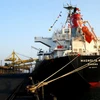 Tàu MAGNOLIA ACE trọng tải 28.389 DWT mang quốc tịch Panama vào "ăn" than đầu năm Giáp ngọ. (Ảnh: Văn Đức/TTXVN)