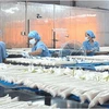 Một công đoạn sản xuất bánh phồng tôm của Công ty Cổ phần xuất nhập khẩu Sa Giang. (Nguồn: dongthap.gov.vn)