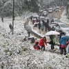 Hàng nghìn du khách đã đổ về Sa Pa để vui chơi và đắm mình trong tuyết. (Ảnh: Văn Thắng/TTXVN)
