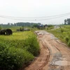 Tỉnh Quảng Ninh thu hồi 35 dự án đầu tư chưa giao đất