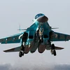 Máy bay ném bom Su-34. (Nguồn: Ria)