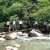 Du lịch khám phá suối Nước Mọoc. (Nguồn: quangbinh.gov.vn)