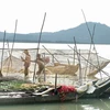 Sản lượng khai thác thủy sản ở hồ Dầu Tiếng tăng gấp 6 lần