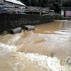 Các tỉnh Bắc Bộ chủ động đối phó với các tình huống mưa, lũ