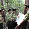 Lâm Đồng thu hồi 164 dự án thuê đất rừng với diện tích 25.332ha