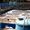 Hà Nội cấm đầu tư vào KCN chưa có hệ thống xử lý nước thải 