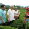 Tuyên Quang tập trung phát triển nông, lâm nghiệp chất lượng cao