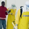 Italy bước đầu phát triển thành công vắcxin kháng virus Ebola