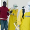 Quỹ Bill-Melinda Gates góp 50 triệu USD để chống dịch Ebola