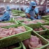 Việt Nam đứng đầu về xuất khẩu sản phẩm cá sang Colombia 