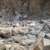 Cao Bằng: Hàng trăm m3 đá đổ sập, bảy người thoát chết 
