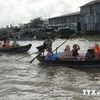 Thúc đẩy phát triển bền vững ở khu vực Hạ lưu sông Mekong 