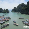 Việt Nam là điểm đến ưa thích của nhiều du khách Tây Ban Nha