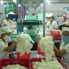 Tập đoàn Đài Loan xây nhà máy sản xuất găng tay y tế tại Đồng Nai