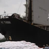 Đồng bằng sông Cửu Long sẽ xuất khẩu được 5,85 triệu tấn gạo