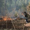 Điện Biên: Kịp thời ngăn chặn đám cháy ở chân Đồi D1 lịch sử