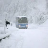 Bão tuyết hoành hành, giao thông tại miền Bắc Italy tê liệt