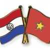 Hai Bộ Ngoại giao Việt Nam và Paraguay tham khảo chính trị