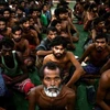 Singapore kêu gọi ASEAN tích cực xử lý vấn đề người tị nạn Rohingya