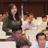 Đại biểu Quốc hội tỉnh Quảng Ninh Ngô Thị Minh phát biểu ý kiến. (Ảnh: Phương Hoa/TTXVN)