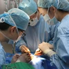 Các bác sỹ Hàn Quốc tiến hành phẫu thuật nụ cười cho trẻ em bị sứt môi, hở hàm ếch tại Bệnh viện Trường Đại học Y Dược Huế. (Ảnh: Nguyễn Thủy/TTXVN)